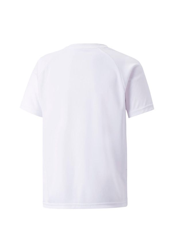 Koszulka dziecięca Puma Team Liga Striped. Kolor: biały, wielokolorowy, czarny. Sport: piłka nożna