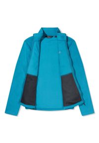 Bluza polarowa męska Berghaus Prism Micro PT Inter Active. Kolor: zielony. Materiał: polar