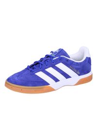 Adidas - Buty halowe adidas Spezialist. Kolor: niebieski, biały, wielokolorowy. Sport: siatkówka, piłka ręczna