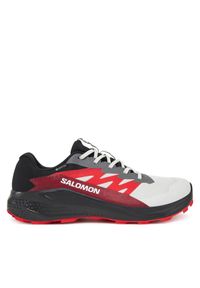 salomon - Salomon Buty do biegania Alphaglide Gore-Tex L47802200 Szary. Kolor: szary. Technologia: Gore-Tex