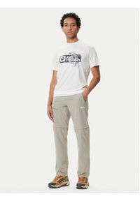 Jack Wolfskin Spodnie outdoor Pico Trail A63905 Beżowy Regular Fit. Kolor: beżowy. Materiał: syntetyk. Sport: outdoor #4