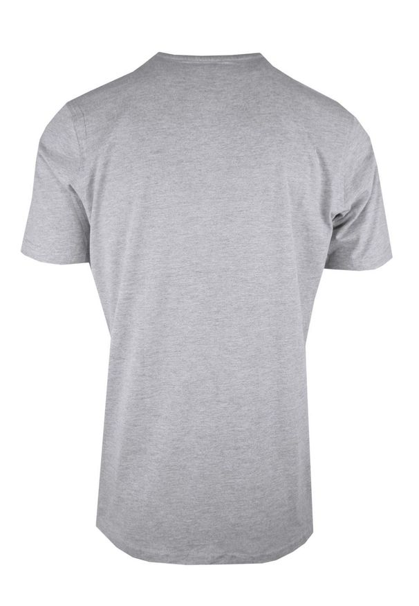 T-Shirt (Koszulka) Męska - Pako Jeans - Napis, Nadruk, Popielata. Okazja: na co dzień. Kolor: szary. Materiał: bawełna, wiskoza. Wzór: nadruk. Styl: casual