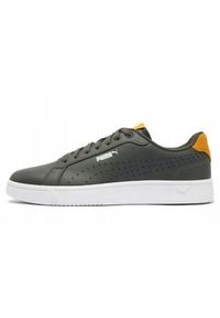Buty Sportowe Męskie Puma Grounded Perf. Kolor: szary