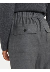 Weekend Max Mara Spodnie materiałowe Hateley 2425136052 Szary Regular Fit. Kolor: szary. Materiał: wełna #5