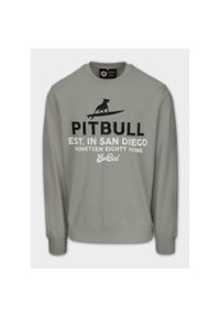 PITBULL - Bluza męska Pitbull SURFING DOG. Kolor: zielony #1