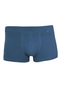 Pako Jeans - Niebieskie Klasyczne Męskie Bokserki, Bawełna z Elastanem -PAKO JEANS- Obcisłe. Kolor: niebieski. Materiał: bawełna, elastan #1