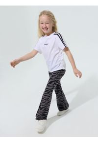 Sinsay - Bawełniane legginsy flare w zebrę - szary. Kolor: szary. Materiał: bawełna. Wzór: motyw zwierzęcy #1