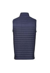 Regatta - Męski Hybrydowy Ocieplacz Na Ciało Navigate. Kolor: wielokolorowy, niebieski, szary. Sport: turystyka piesza #2