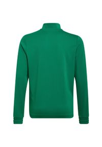 Adidas - Bluza piłkarska dla dzieci adidas Entrada 22 Training Top. Kolor: zielony, biały, wielokolorowy. Sport: piłka nożna