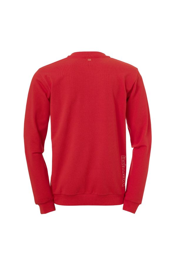 KEMPA - Top treningowy dla dzieci Kempa Core 2.0. Kolor: wielokolorowy, szary, czerwony. Sport: fitness, piłka ręczna