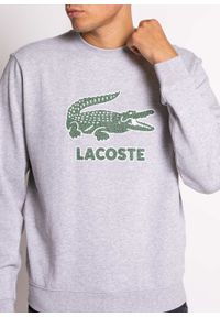 Bluza męska Lacoste Sport Sweatshirt (SH0065-CCA). Kolor: szary. Materiał: materiał. Styl: sportowy
