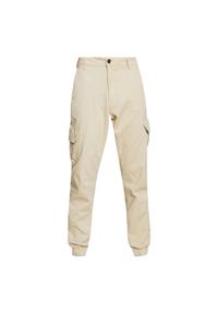 Urban Classics - Spodnie Damskie Twill Utility. Kolor: brązowy