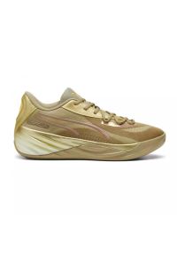 Buty halowe Puma All-Pro Nitro CNY. Kolor: szary