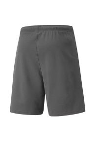 Spodenki piłkarskie męskie Puma teamRISE Short. Kolor: biały, wielokolorowy, szary. Sport: piłka nożna