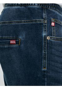 Big-Star - Szorty męskie jeansowe granatowe Parker 537. Kolor: niebieski. Materiał: jeans. Sezon: lato. Styl: sportowy #3