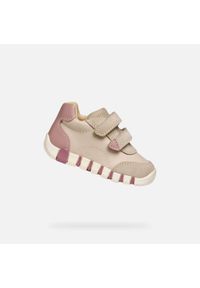 Geox - Buty GEOX B IUPIDOO GIRL Beżowy. Okazja: na co dzień. Kolor: różowy, wielokolorowy, beżowy. Materiał: skóra