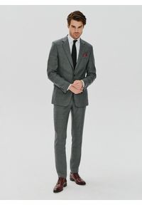 Pako Lorente - PAKO LORENTE – Szare wełniane spodnie garniturowe. Okazja: na wesele, na ślub cywilny. Kolor: szary. Materiał: wełna. Wzór: gładki. Styl: elegancki #6