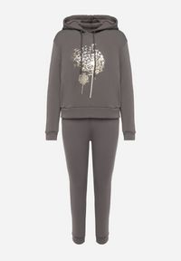 Born2be - Szary Bawełniany Komplet Dresowy Ocieplany Bluza i Spodnie Sevizelle. Kolor: szary. Materiał: dresówka, bawełna. Wzór: aplikacja, nadruk