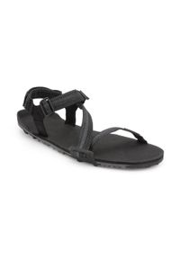XERO SHOES - Sandały turystyczne męskie Xero Shoes Z-Trail EV. Kolor: czarny