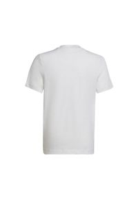 Adidas - Koszulka dla dzieci adidas Entrada 22 Tee. Kolor: biały. Sport: piłka nożna #2