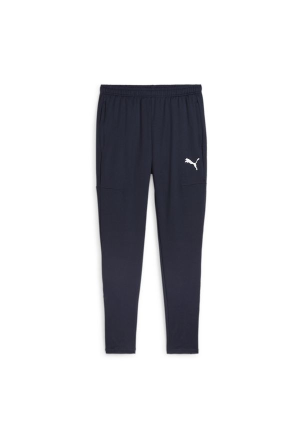 Spodnie męskie Puma Team Goal Slim Training. Kolor: niebieski. Sport: piłka nożna, fitness