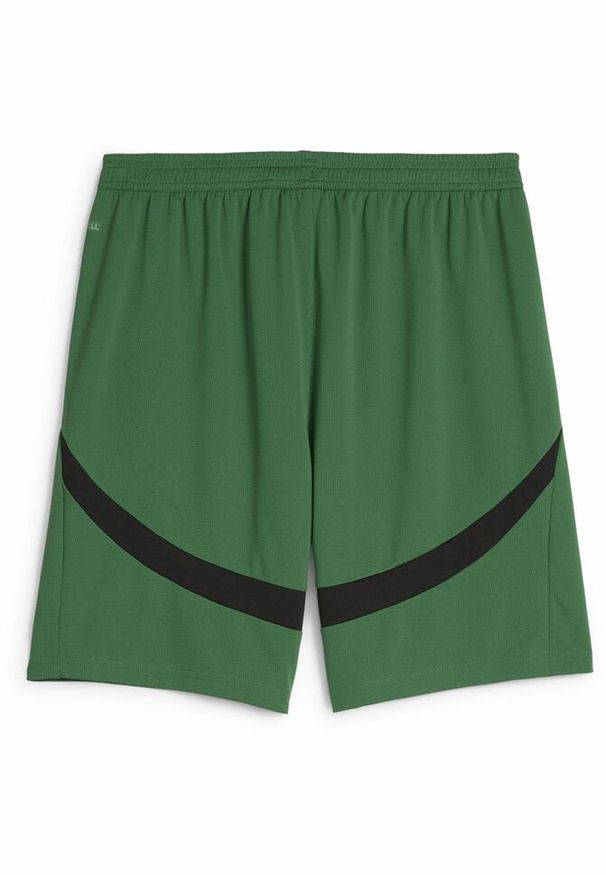 Puma - Męskie szorty Borussia Mönchengladbach 24/25 PUMA Archive Green Black. Kolor: wielokolorowy, czarny, zielony. Sport: piłka nożna
