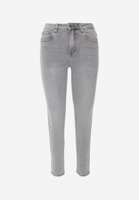 Renee - Szare Jeansy o Kroju Regular z Bawełnianego Denimu Timasta. Okazja: na co dzień. Kolor: szary. Styl: casual, klasyczny #6
