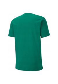 Puma - T-shirt Męski TeamGoal 23. Kolor: zielony. Sport: turystyka piesza