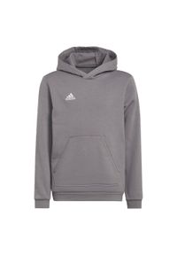 Adidas - Bluza piłkarska dla dzieci adidas Entrada 22 Hoody. Typ kołnierza: kaptur. Kolor: szary. Materiał: polar, materiał. Sport: piłka nożna