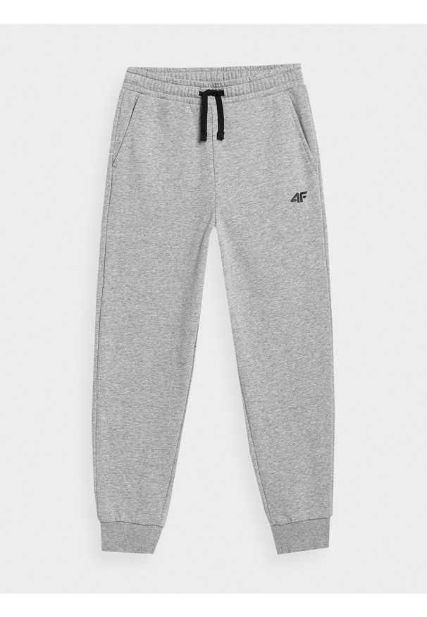 4f - 4F Spodnie dresowe joggery chłopięce 164 (13-14 lat). Okazja: na co dzień. Kolor: szary. Materiał: dresówka. Sezon: lato. Styl: casual