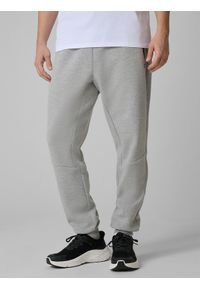 4f - 4F Spodnie dresowe joggery męskie - szare XL. Kolor: szary. Materiał: dresówka #2