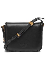 Pinko - PINKO Torebka Love Box Bag Fl Mini PE 25 PLTT 104297 A26J Czarny. Kolor: czarny. Materiał: skórzane #5