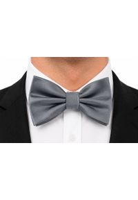 Mucha Męska w Zestawie z Poszetką - Alties - Popielata. Kolor: szary. Styl: elegancki, sportowy #5
