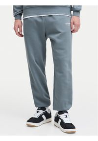 Jack & Jones - Jack&Jones Spodnie dresowe Kane Soho 12278943 Niebieski Regular Fit. Kolor: niebieski. Materiał: bawełna
