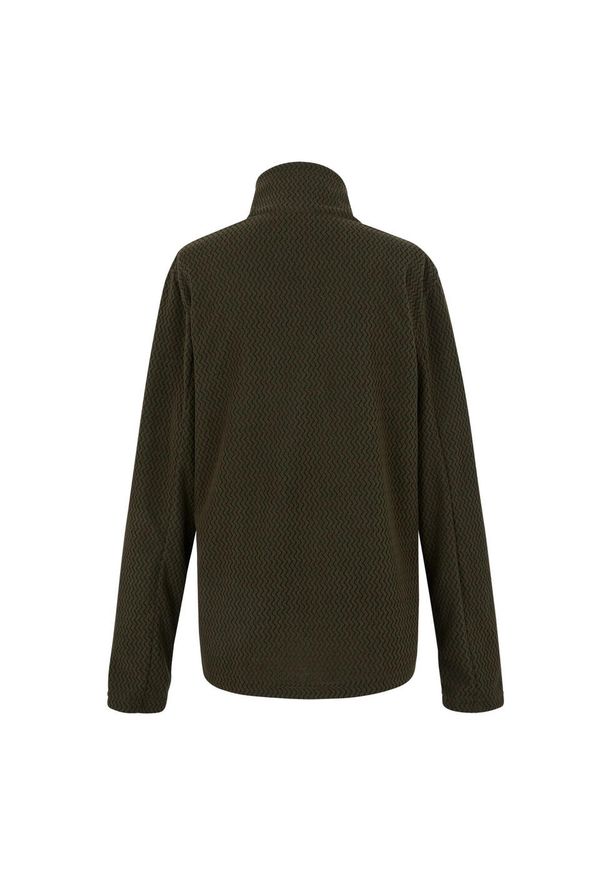 Regatta - Bluza Damska Heidy Z Pełnym Zamkiem Błyskawicznym. Kolor: zielony. Sezon: zima. Styl: sportowy. Sport: turystyka piesza