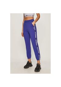Damskie spodnie dresowe Champion Track Pant fioletowe XS. Kolor: fioletowy. Materiał: dresówka. Długość: długie #1
