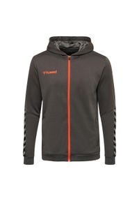 Bluza z kapturem dla dzieci Hummel zip hmlAUTHENTIC Poly. Typ kołnierza: kaptur. Kolor: szary. Sport: piłka ręczna #1