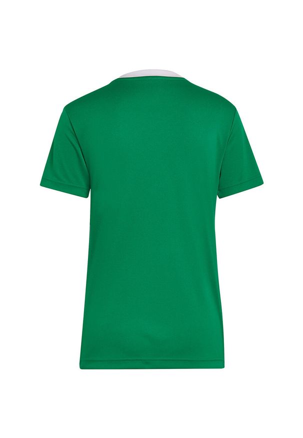 Koszulka piłkarska damska Adidas Entrada 22 Jersey. Kolor: zielony, biały, wielokolorowy. Materiał: jersey. Sport: piłka nożna