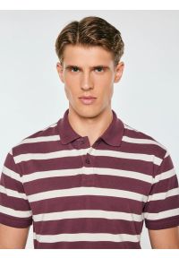 Big-Star - koszulka męska polo w białe paski bordowa talus 604. Okazja: na co dzień. Typ kołnierza: polo. Kolor: czerwony. Materiał: bawełna, sztruks, jeans, dzianina. Wzór: paski. Sezon: zima, jesień. Styl: casual, sportowy, klasyczny #2