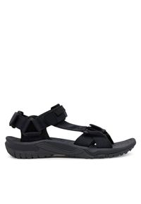 Jack Wolfskin Sandały Lakewood Ride Sandal M 4019021 Szary. Kolor: szary. Materiał: materiał #1