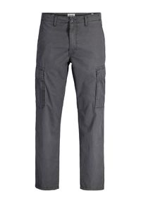 Jack & Jones Spodnie cargo Kane Frank 12291962 Szary Relaxed Fit. Kolor: szary. Materiał: bawełna #1