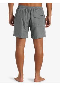 Quiksilver - Szorty kąpielowe dla Mężczyzn EVERYDAY DELUXE VOLLEY 15" Brązowy. Kolor: zielony. Materiał: poliester. Styl: sportowy