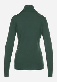 Born2be - Zielony Golf Sweter z Wiskozą i Kaszmirem Zailaya. Okazja: na co dzień. Typ kołnierza: golf. Kolor: zielony. Materiał: wiskoza, kaszmir. Styl: casual