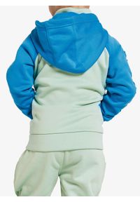 Bluza z kapturem dziecięca Didriksons Corin Full Zip. Typ kołnierza: kaptur. Kolor: wielokolorowy, niebieski, zielony