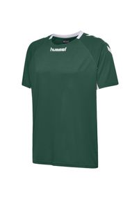 Koszulka sportowa z krótkim rękawem dla dzieci Hummel Core Kids Team Jersey S/S. Kolor: zielony, biały, wielokolorowy. Materiał: jersey. Długość rękawa: krótki rękaw. Długość: krótkie