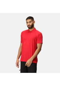 Regatta - Męska koszulka polo Coolweave. Typ kołnierza: polo. Kolor: czerwony. Materiał: materiał. Sport: turystyka piesza #1
