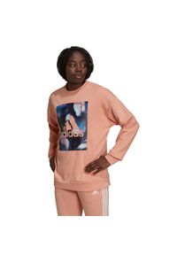 Adidas - Bluza damska adidas Youforyou Sweatshirt. Kolor: pomarańczowy, wielokolorowy, różowy
