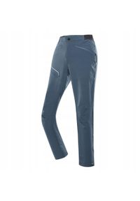 ALPINE PRO - Spodnie męskie trekkingowe Alpine Pro Ramel. Kolor: wielokolorowy, niebieski, szary. Sezon: lato. Sport: turystyka piesza #1