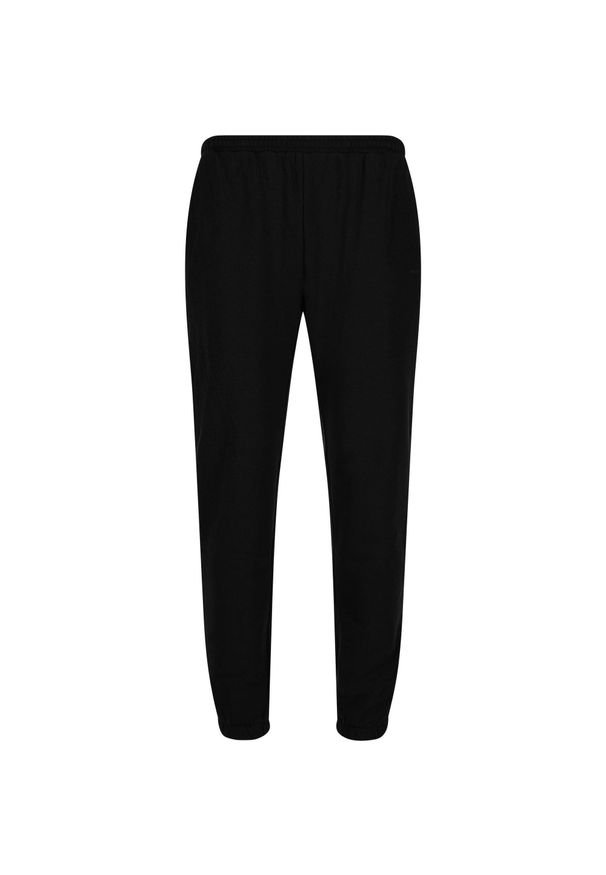 ENDURANCE - Spodnie Endurance Arlanc. Kolor: czarny. Sport: fitness