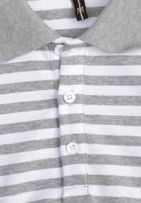 Born2be - Szara Bawełniana Koszulka Polo w Paski w Stylu Casual Elunilla. Okazja: na co dzień. Typ kołnierza: polo. Kolor: szary. Materiał: bawełna. Wzór: paski. Styl: casual #3